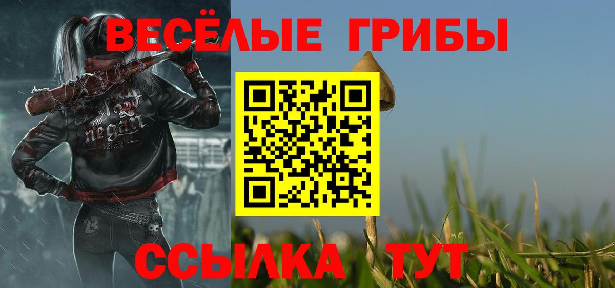 Армавир  Псилоцибиновые грибы мухоморы  Вход с VPN 